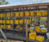 Apiary set up and Management